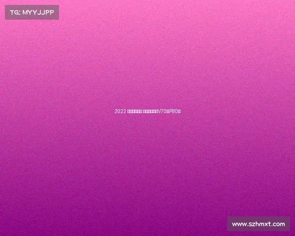 2022 方盒子旅行车 沃尔沃第一代V70（P80）